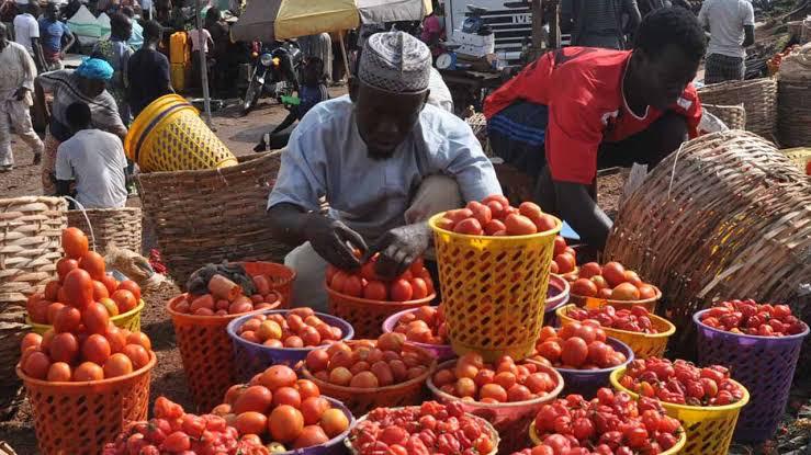 Visit Bwari market 5 Bwari mrkt