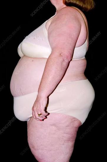 Best Time to Stop Eating for Weight Loss (Women) 1 images 12