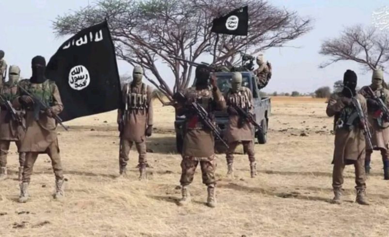 Five Suspected ISWAP Members Killed in Accidental Bomb Explosion in Borno