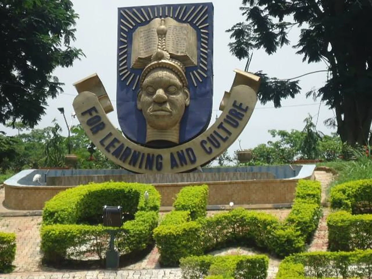 Nigerians should start small but dream big for business success — Prof Agboola