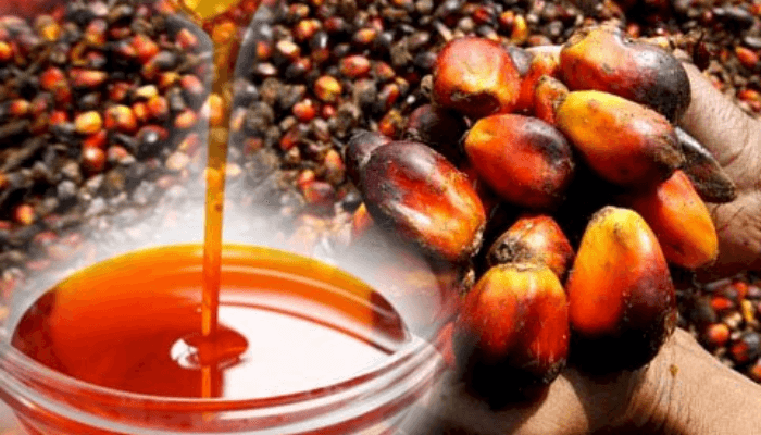 Fake Palm Oil in Circulation: Know What You’re Buying