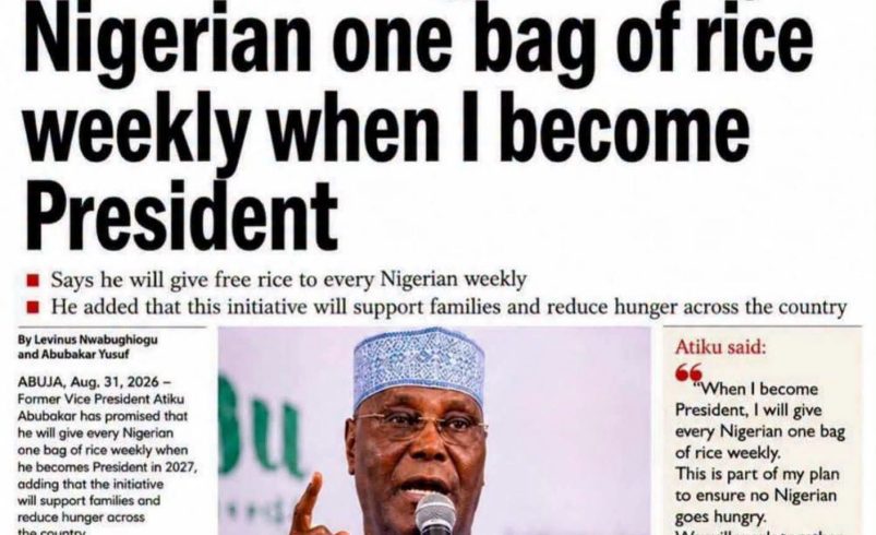 The Effect of AI on Nigeria’s 2027 General Election
